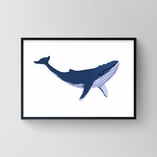 Load image into Gallery viewer, Humpback Whale