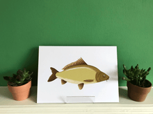 Load image into Gallery viewer, Common Carp