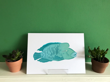 Load image into Gallery viewer, Humphead Wrasse | Napoleon Fish