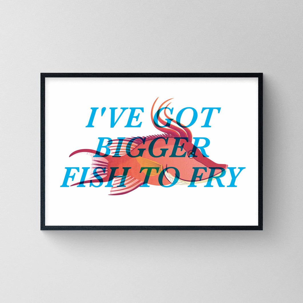 I've Got Bigger Fish To Fry - Hogfish Wrasse Print
