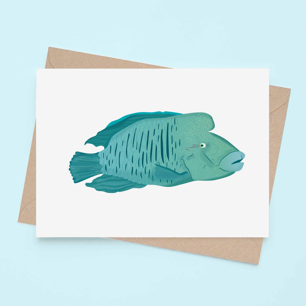 Napoleon fish Humphead Wrasse - Greeting Card