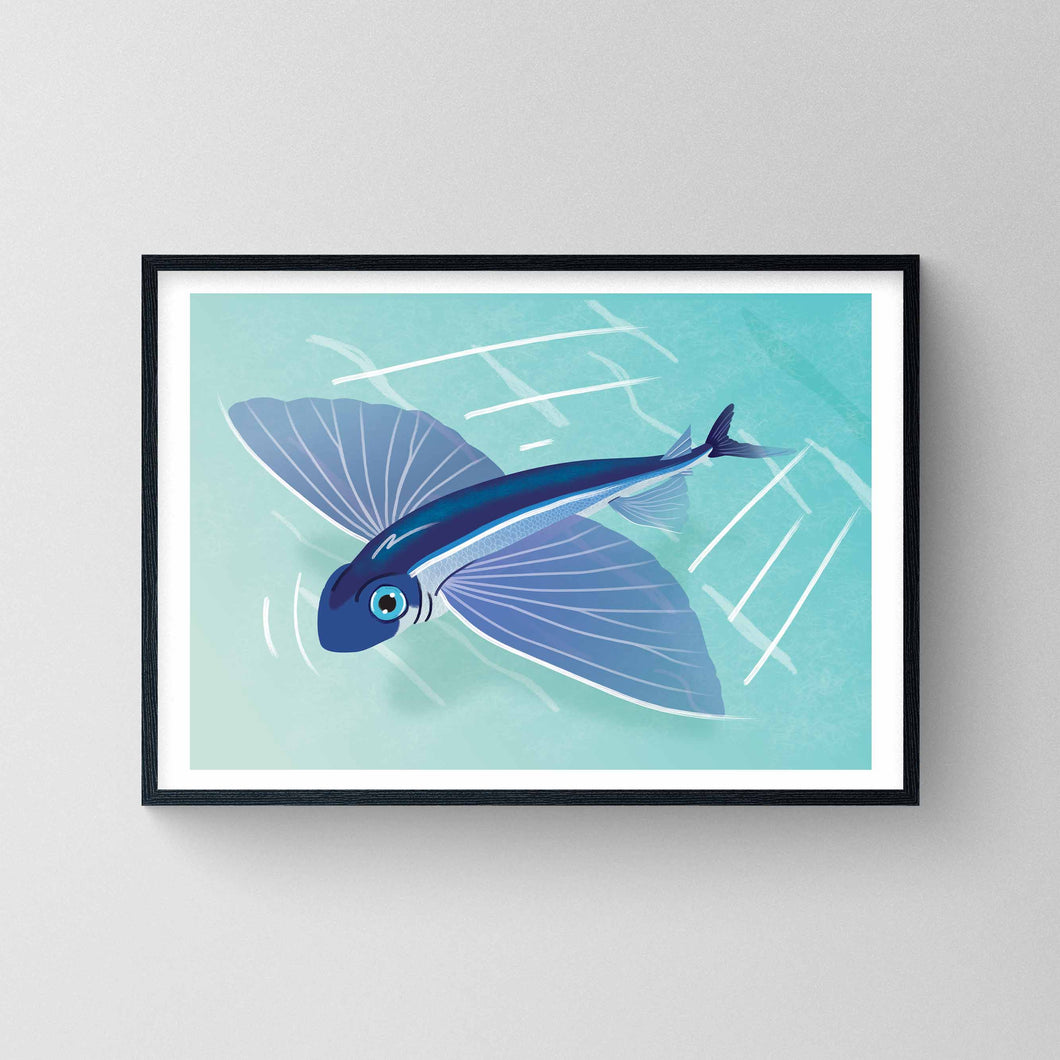 Flying Fish Print
