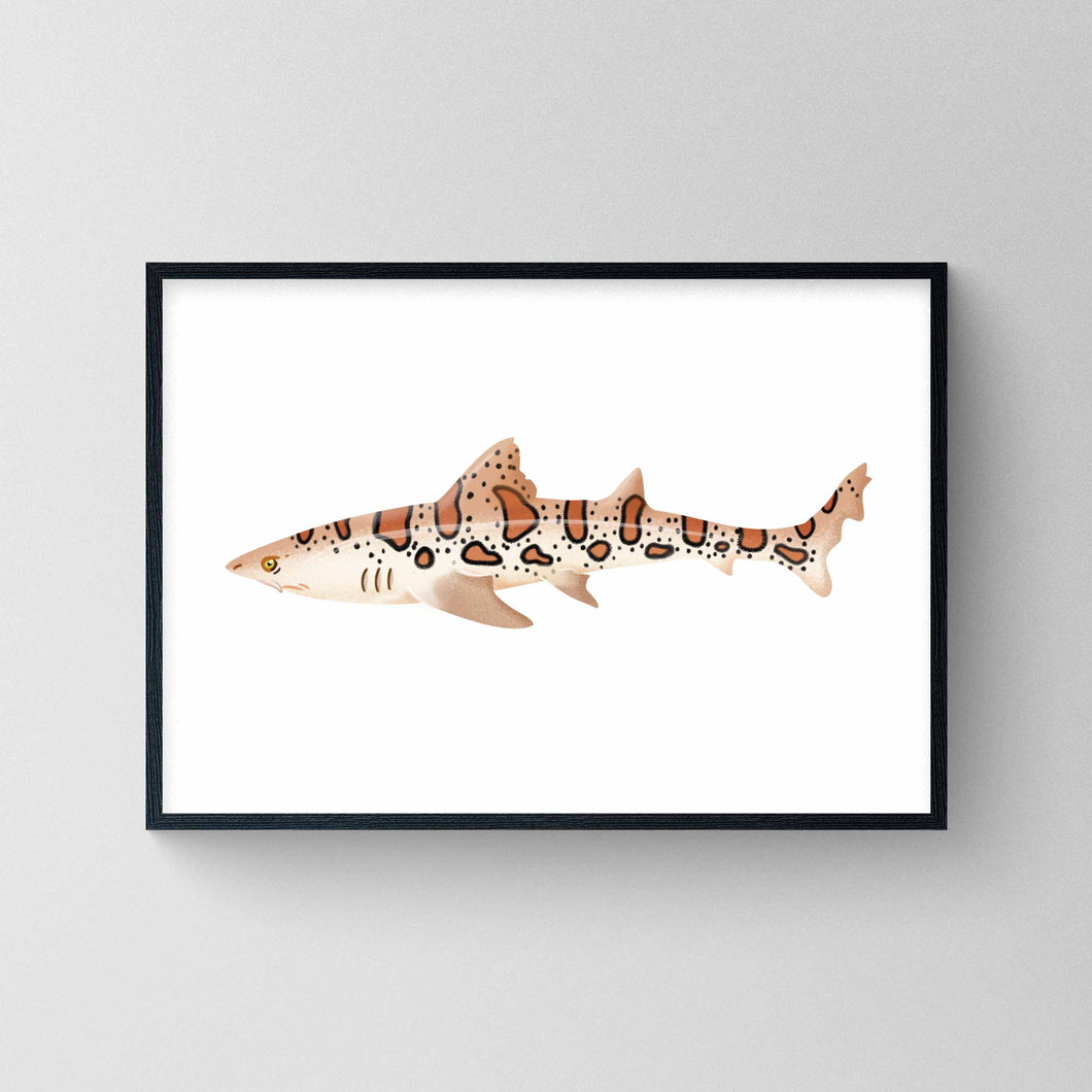 Leopard Shark | Houndshark Giclé Print