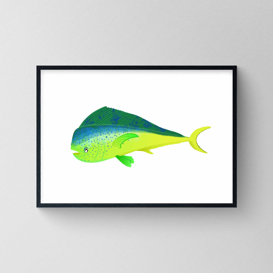 Mahi Mahi   Dorado - Print