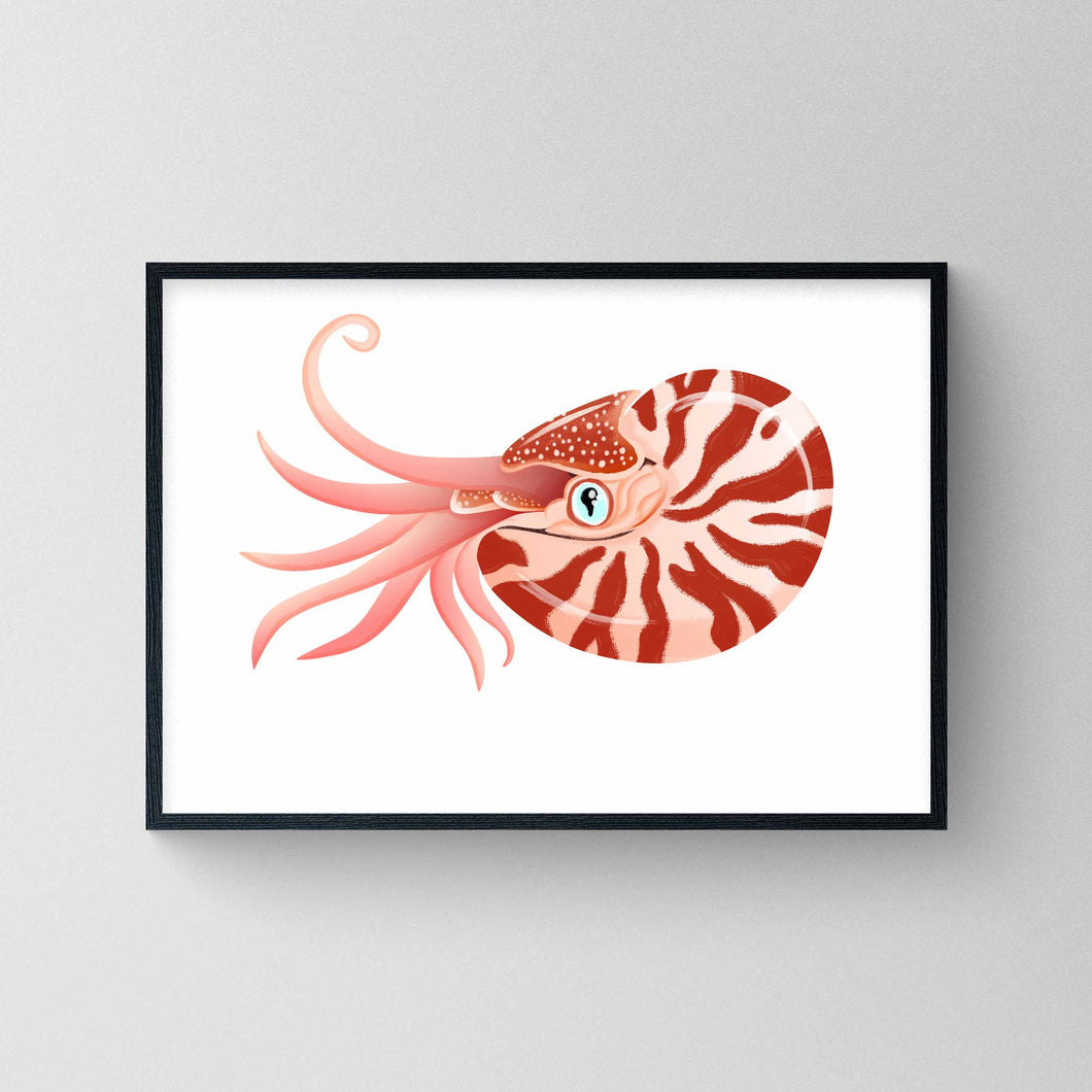 Nautilus Giclée print