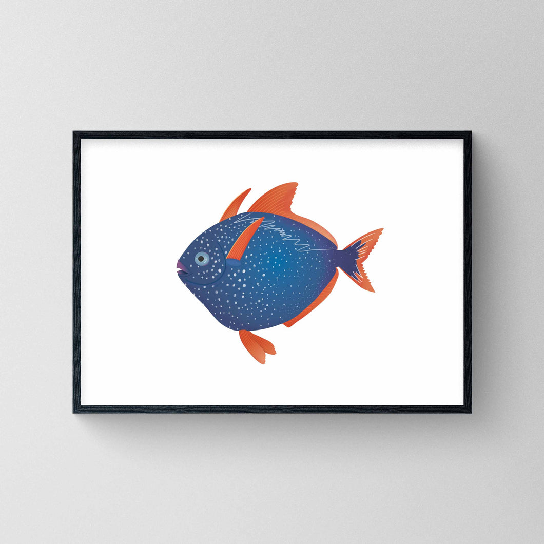 Opah Art Print