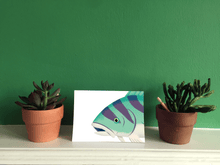 Load image into Gallery viewer, Roosterfish Limited edition - Greeting Card
