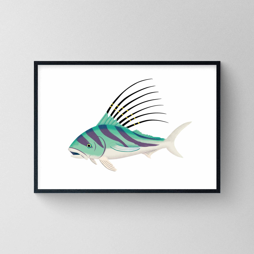 Roosterfish Print