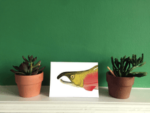 Load image into Gallery viewer, Salmon Limited Edition - Greeting Card
