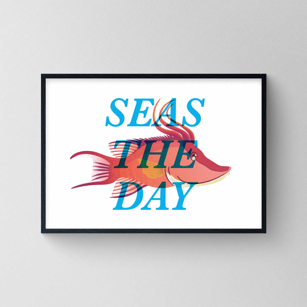 Seas The Day - Hogfish A4 Print