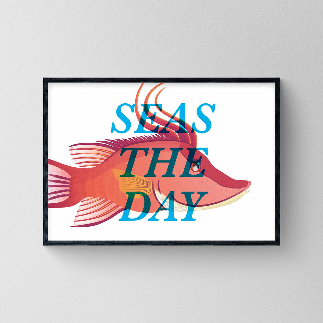 Seas The Day - Hogfish Print