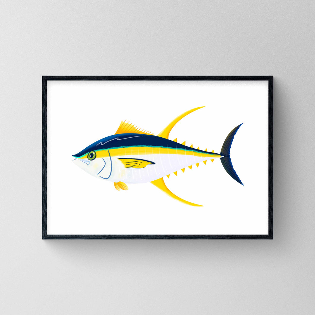Yellowfin Tuna -   Print