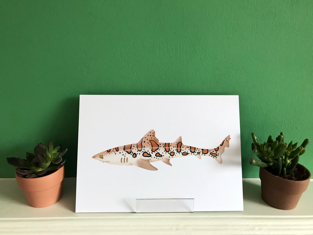Leopard Shark | Houndshark print