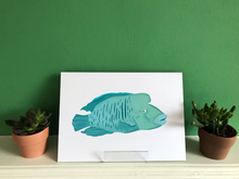 Load image into Gallery viewer, Humphead Wrasse | Napoleon Fish
