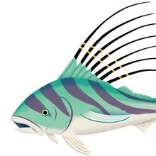 Load image into Gallery viewer, Roosterfish Print
