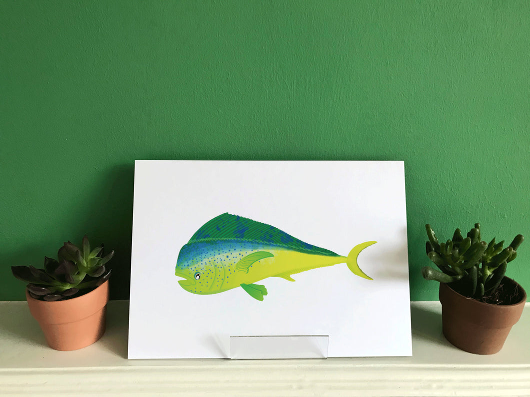 Mahi Mahi   Dorado -   Print