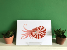 Load image into Gallery viewer, Nautilus Giclée print
